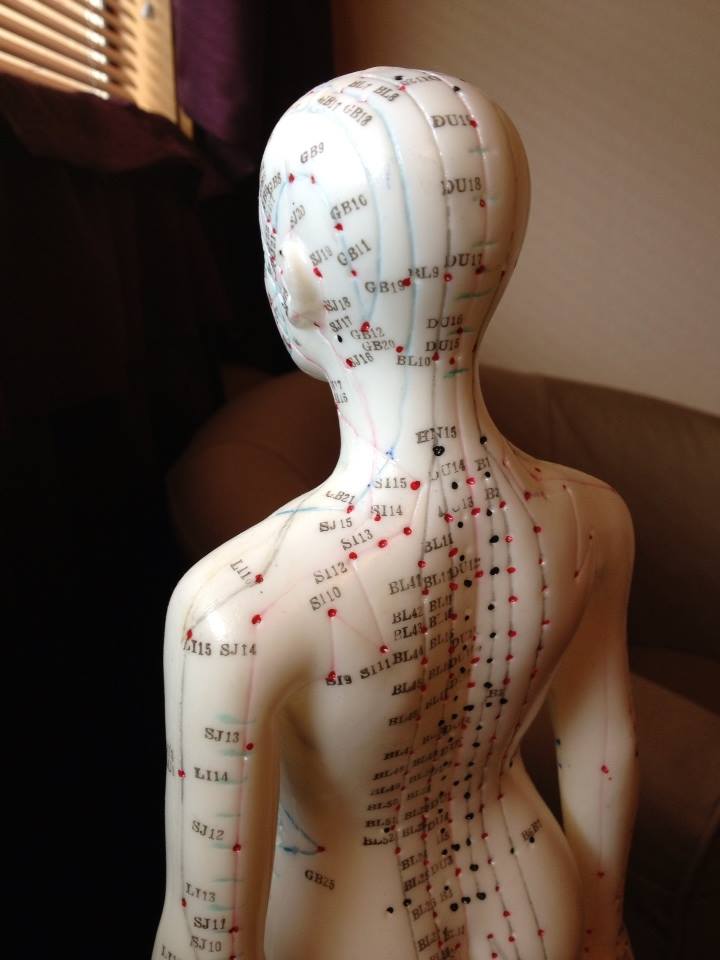 Acupuncture Points and Channels