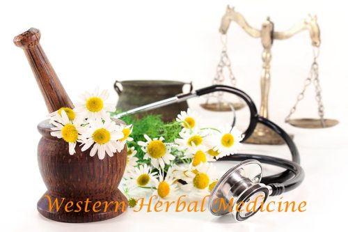 Western Herbal Medicine